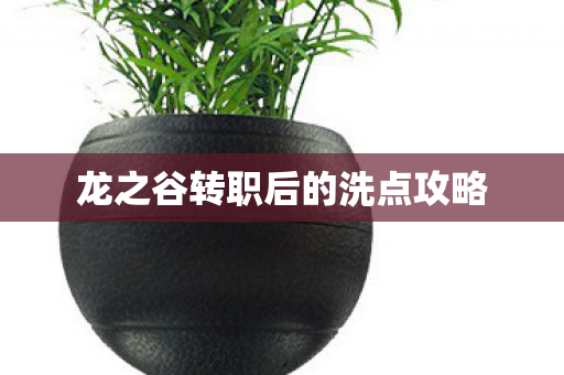 龙之谷转职后的洗点攻略图片