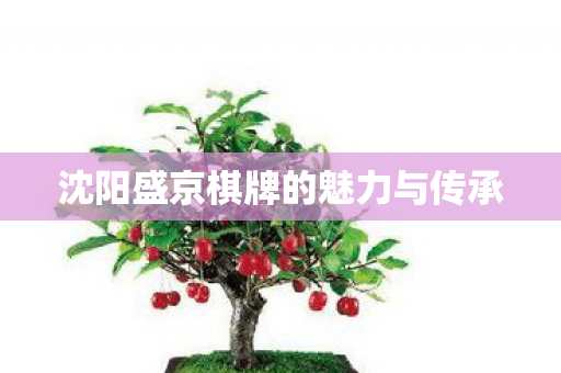 沈阳盛京棋牌的魅力与传承图片