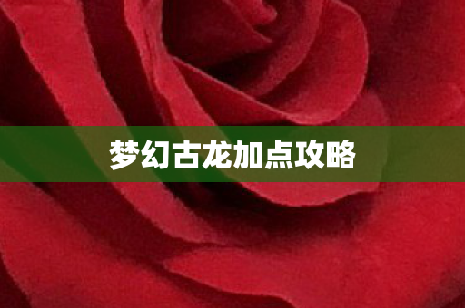 梦幻古龙加点攻略图片