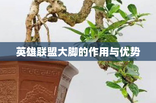 英雄联盟大脚的作用与优势图片