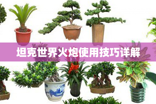 坦克世界火炮使用技巧详解图片