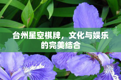 文化与娱乐的完美结合图片