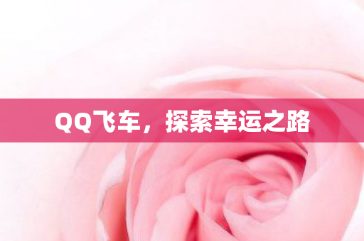 探索幸运之路图片