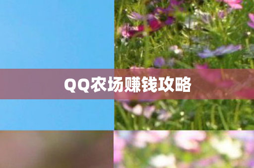 QQ农场赚钱攻略图片