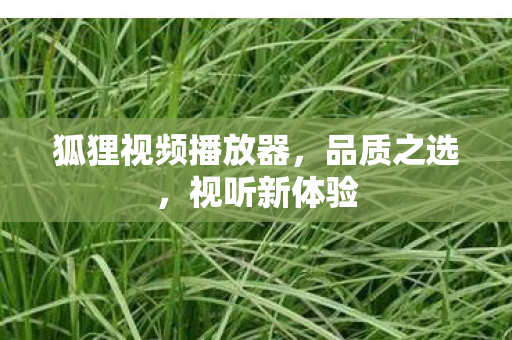 狐狸视频播放器图片