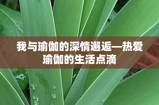 我与瑜伽的深情邂逅图片