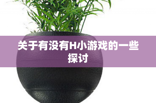 关于有没有H小游戏的一些探讨图片