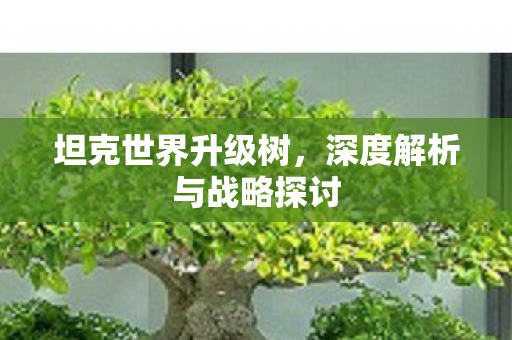 深度解析与战略探讨图片