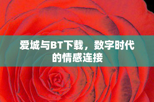 数字时代的情感连接图片