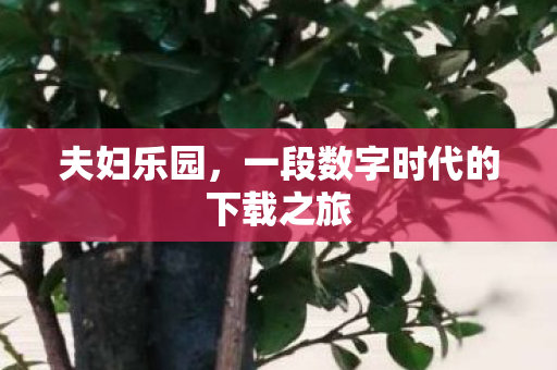 一段数字时代的下载之旅图片