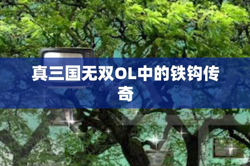 真三国无双OL中的铁钩传奇图片