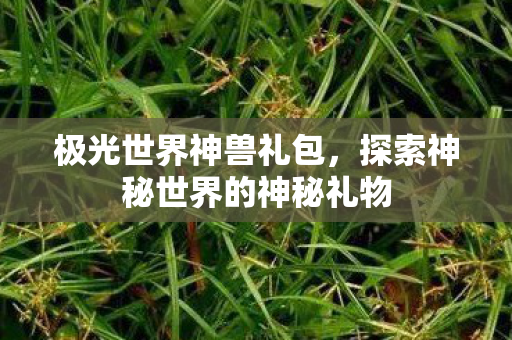 探索神秘世界的神秘礼物图片