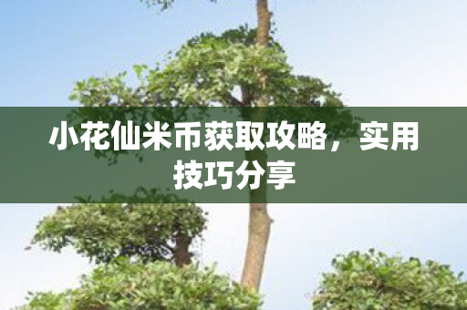 小花仙米币获取攻略图片