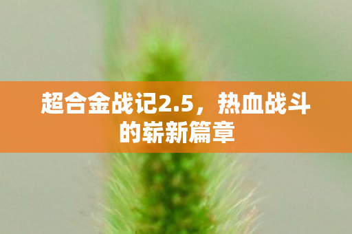 热血战斗的崭新篇章图片