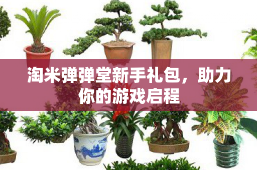 淘米弹弹堂新手礼包图片
