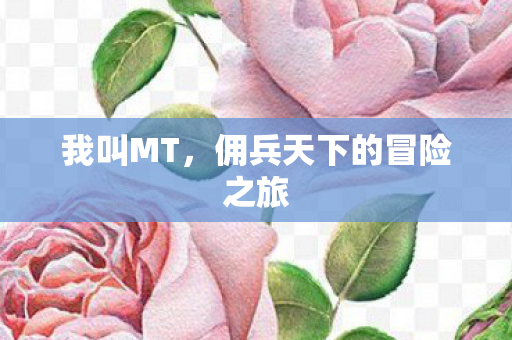 佣兵天下的冒险之旅图片