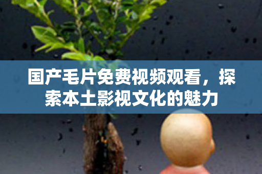探索本土影视文化的魅力图片