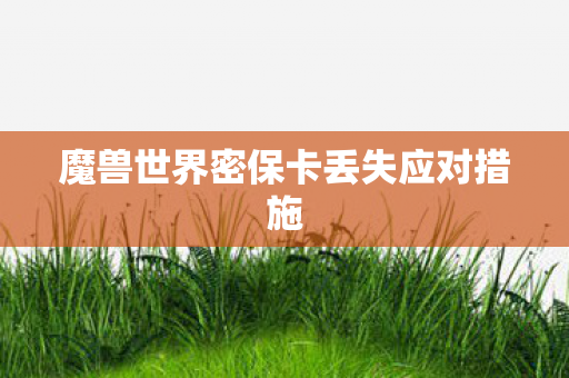 魔兽世界密保卡丢失应对措施图片