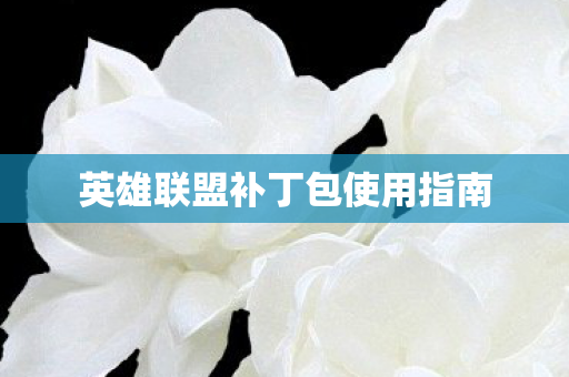英雄联盟补丁包使用指南图片
