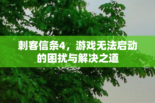 游戏无法启动的困扰与解决之道图片