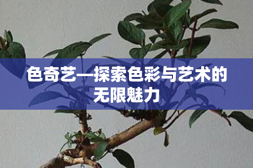 探索色彩与艺术的无限魅力图片