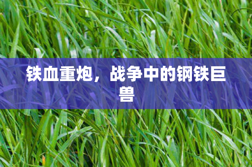 战争中的钢铁巨兽图片