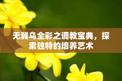 无翼乌全彩之调教宝典图片