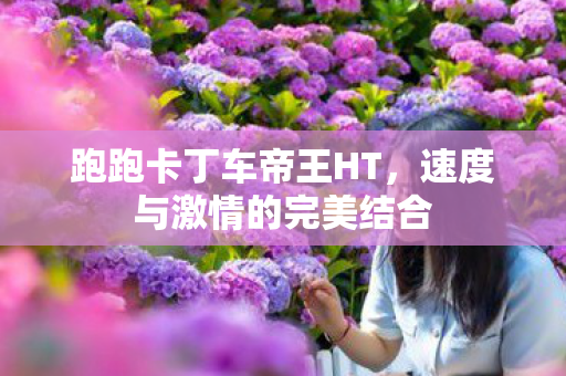 速度与激情的完美结合图片