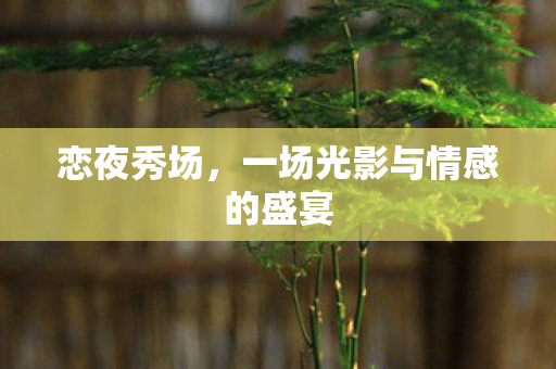 一场光影与情感的盛宴图片