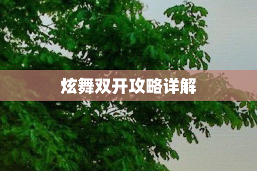 炫舞双开攻略详解图片