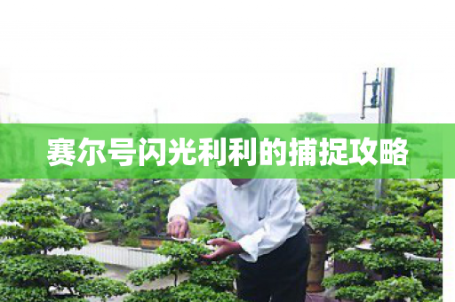 赛尔号闪光利利的捕捉攻略图片