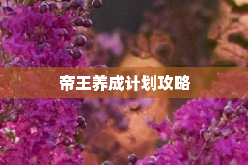 帝王养成计划攻略图片