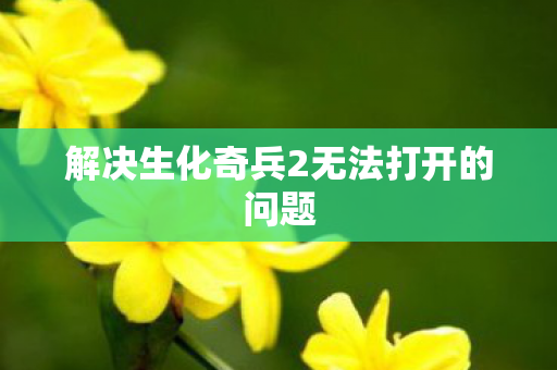 解决生化奇兵2无法打开的问题图片