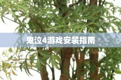 鬼泣4游戏安装指南图片