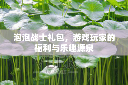 游戏玩家的福利与乐趣源泉图片
