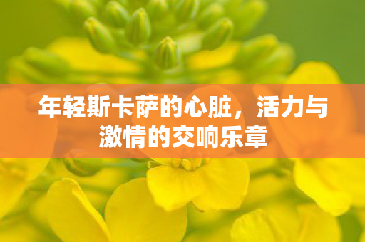 活力与激情的交响乐章图片