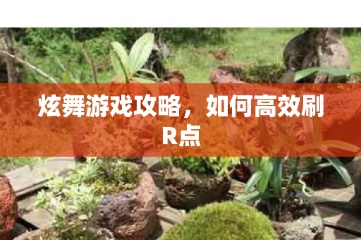 如何高效刷R点图片