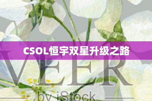CSOL恒宇双星升级之路图片