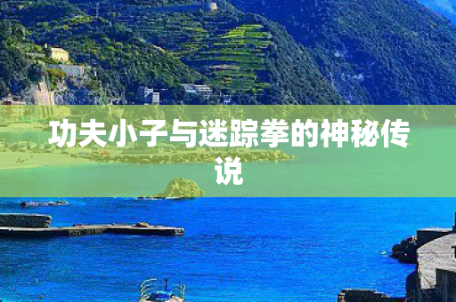 功夫小子与迷踪拳的神秘传说图片