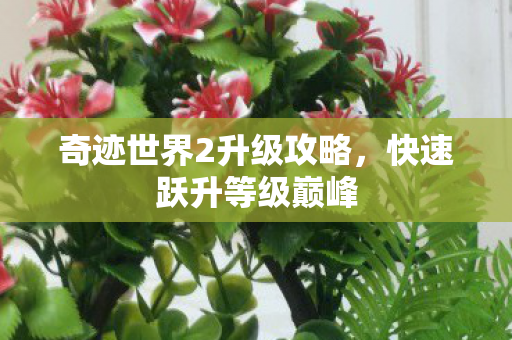 奇迹世界2升级攻略图片