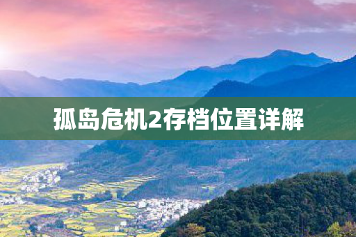 孤岛危机2存档位置详解图片