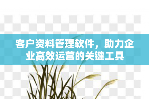 助力企业高效运营的关键工具图片