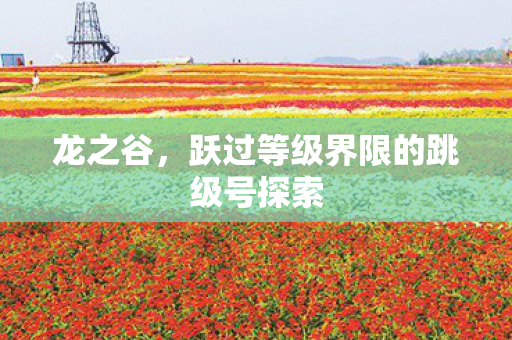 跃过等级界限的跳级号探索图片