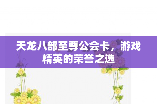 天龙八部至尊公会卡图片