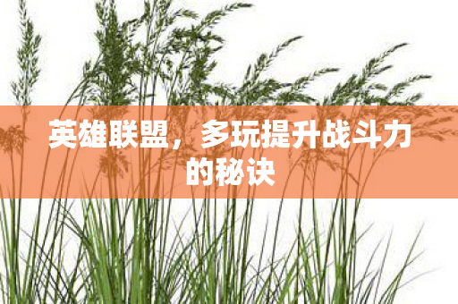 多玩提升战斗力的秘诀图片