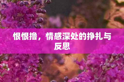 情感深处的挣扎与反思图片