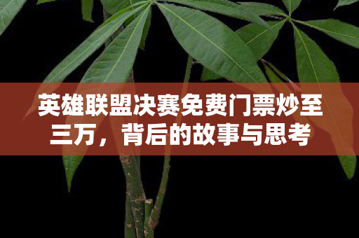 英雄联盟决赛免费门票炒至三万图片
