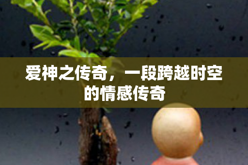 一段跨越时空的情感传奇图片