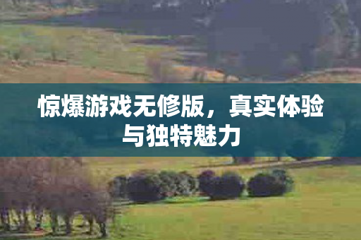 真实体验与独特魅力图片