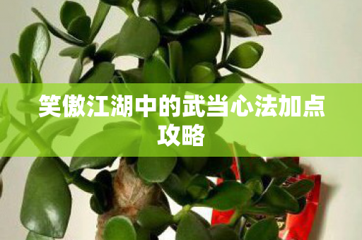 笑傲江湖中的武当心法加点攻略图片